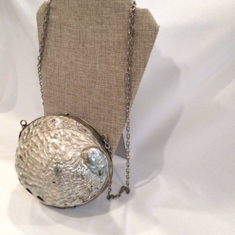 1 of a kind Abalone Shell SS Cocktail Purse